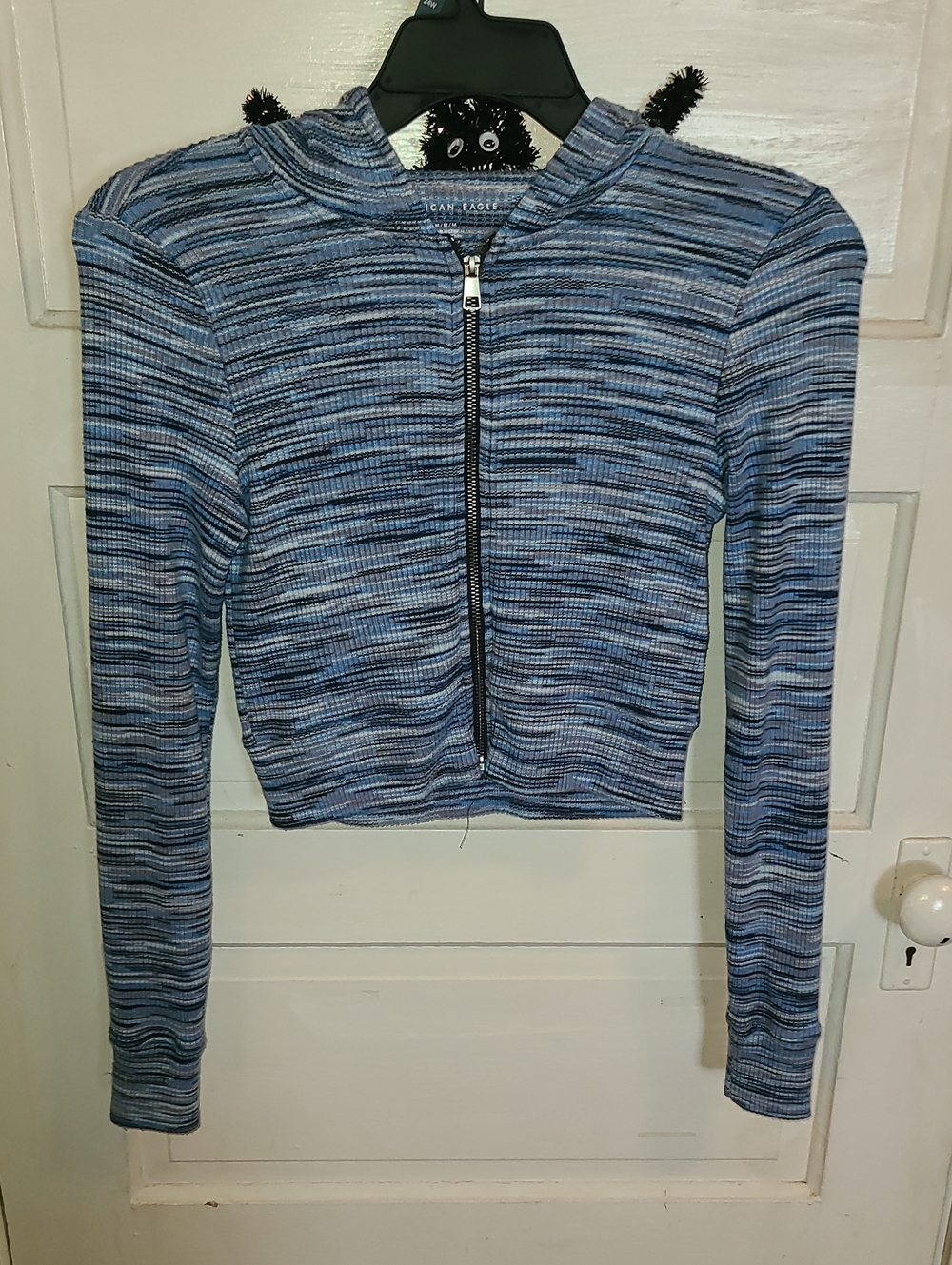 American Eagle Outfitters Striped Blue Zip-Front Hooded Crop Top
